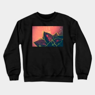 Coleus Leaves on Red Vintage Table Crewneck Sweatshirt